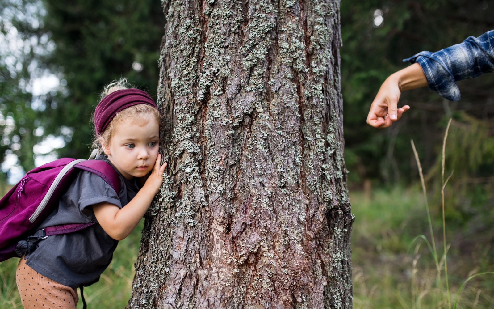 A little girl presses her ear to a tree to hear the sound of someone knocking on the tree on the other side