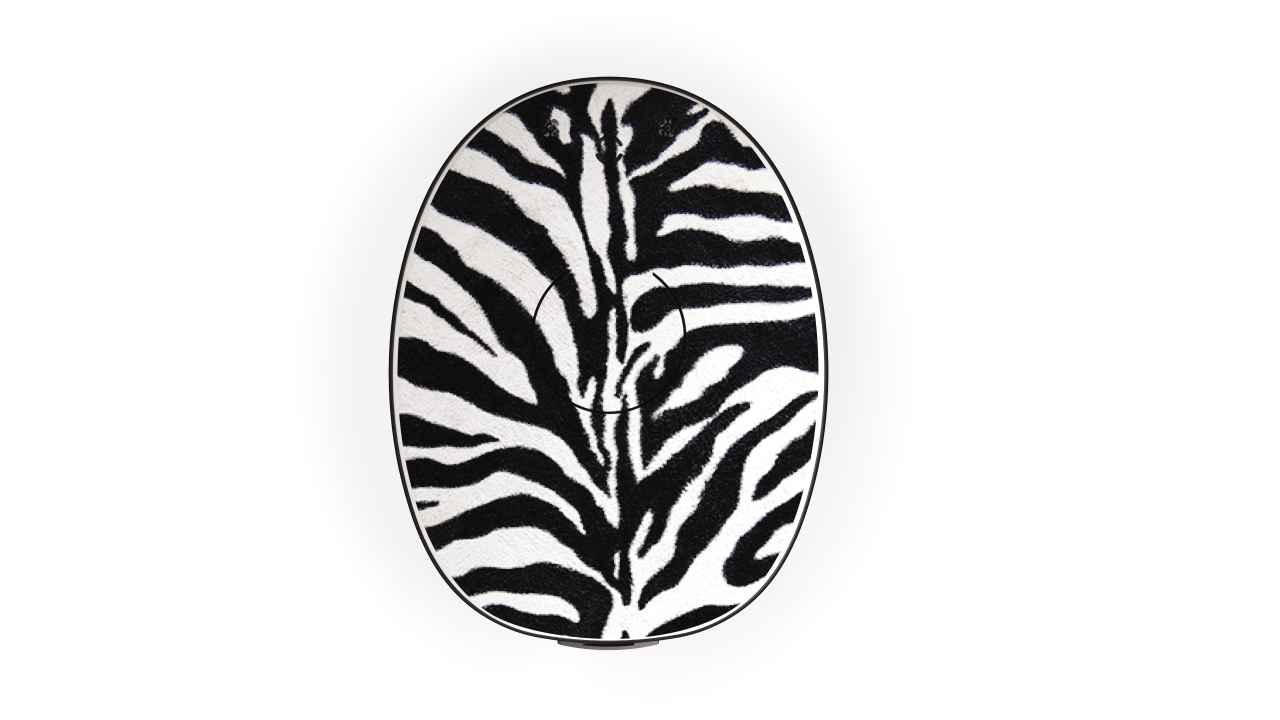 zebraskin
