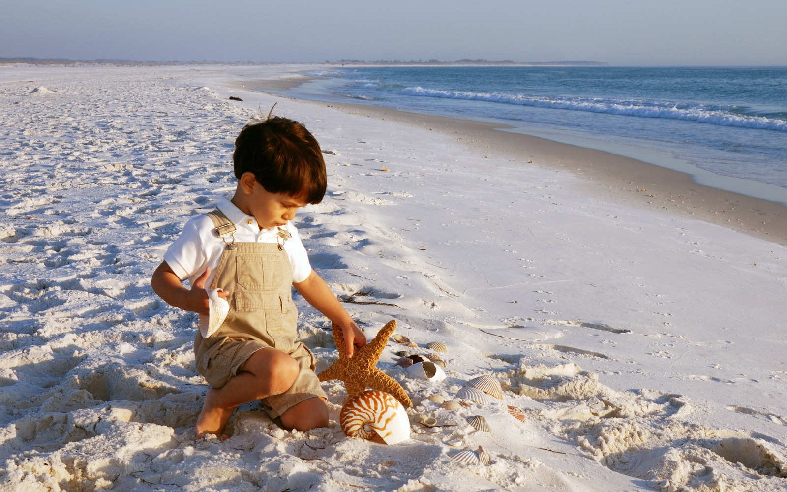 Child explores the beach