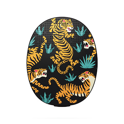 017_r3_v017_10-10_r3_tigers_fro