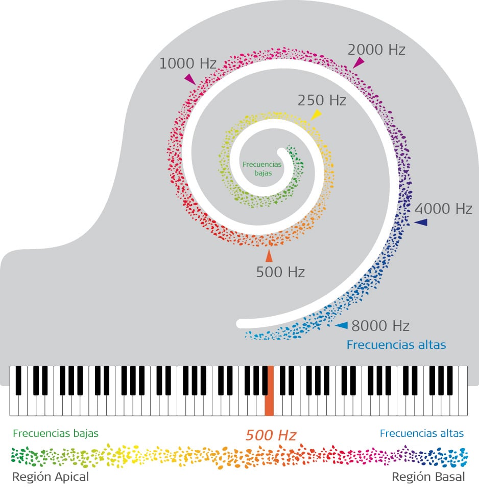 piano graphic