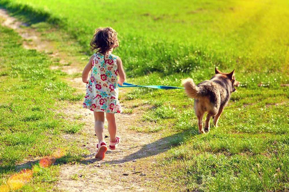 when should you start taking a puppy for a walk