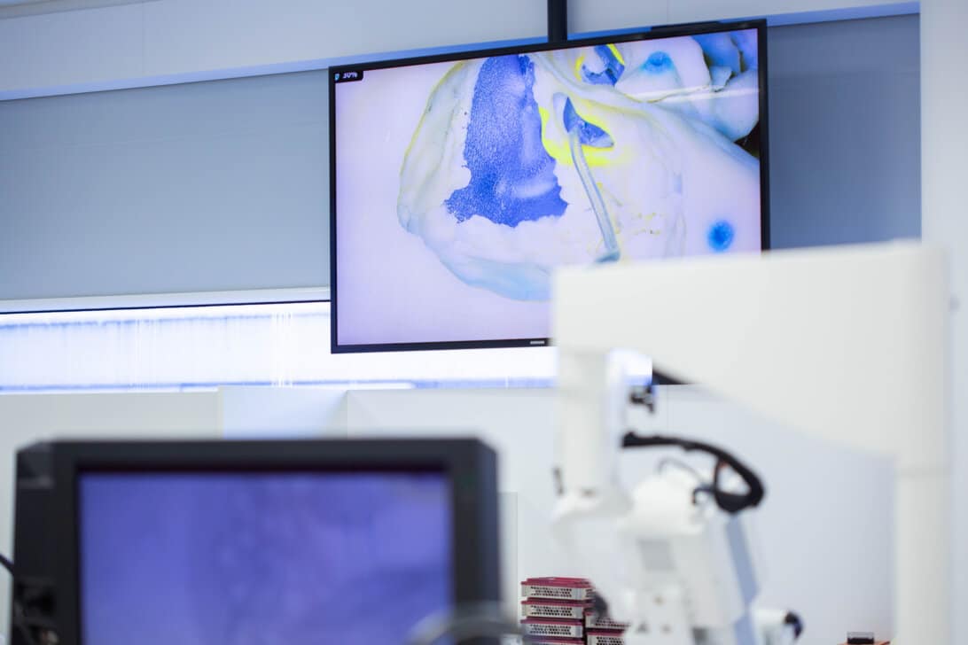 Screen in training lab