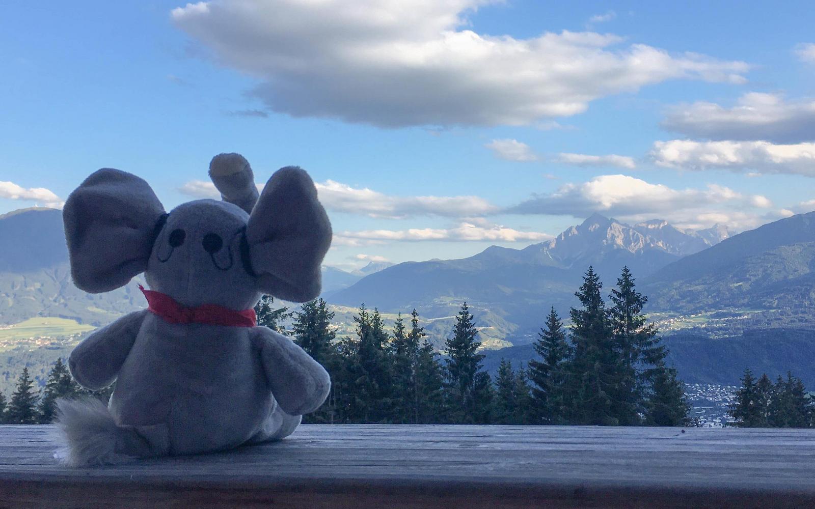 Mellie the MED-ELephant