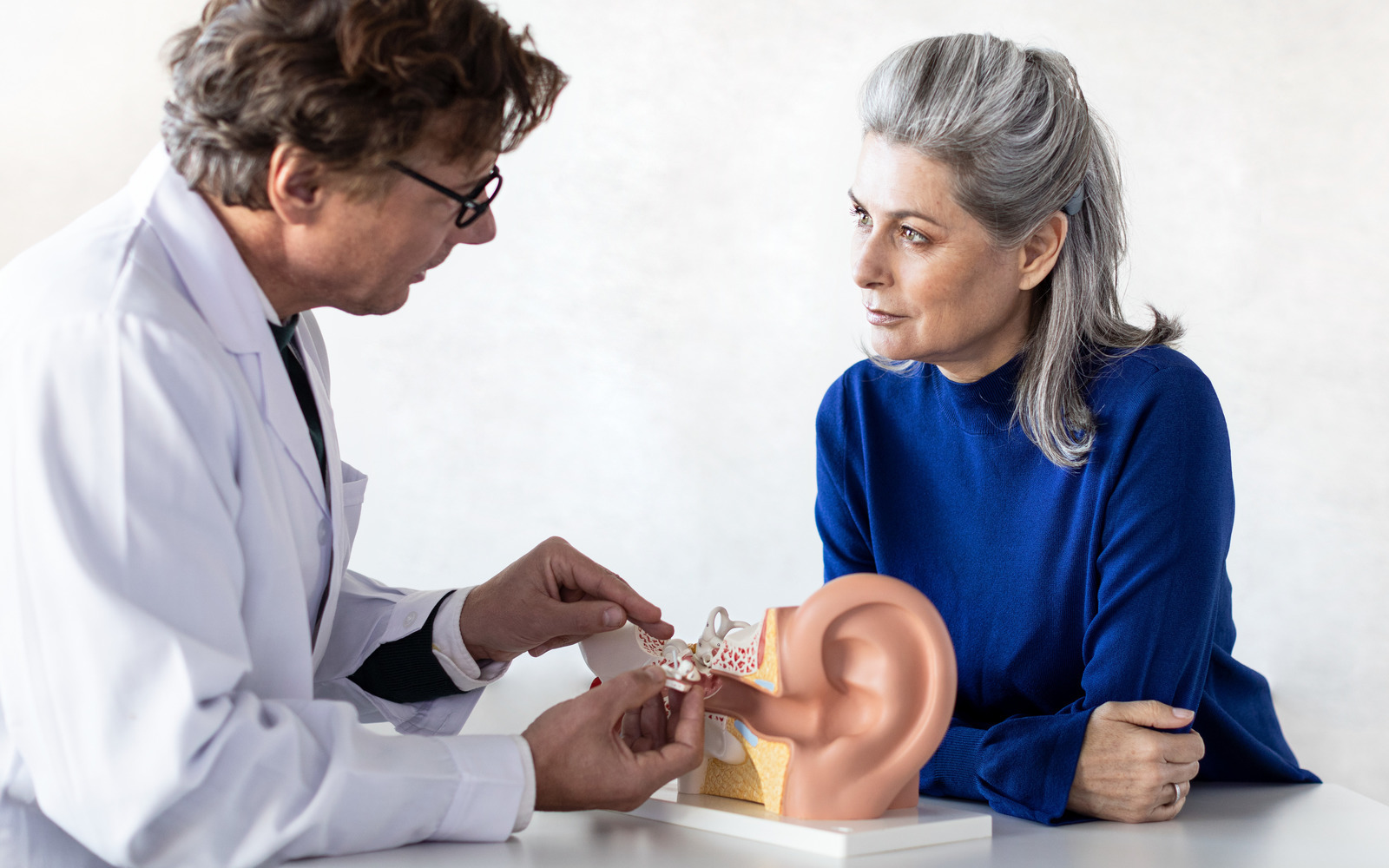 An older woman talking to an ENT with the model of an ear in front of them